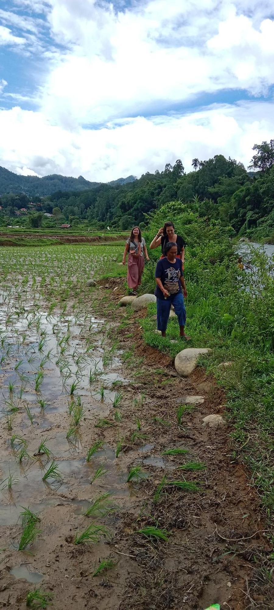 רנטפאו Toraja Sanggalangi Homestay מראה חיצוני תמונה